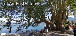 [P33] Faleza din Locarno.  » foto by Aurici
 - 
<span class="allrVoted glyphicon glyphicon-heart hidden" id="av1127713"></span>
<a class="m-l-10 hidden" id="sv1127713" onclick="voting_Foto_DelVot(,1127713,5274)" role="button">șterge vot <span class="glyphicon glyphicon-remove"></span></a>
<a id="v91127713" class=" c-red"  onclick="voting_Foto_SetVot(1127713)" role="button"><span class="glyphicon glyphicon-heart-empty"></span> <b>LIKE</b> = Votează poza</a> <img class="hidden"  id="f1127713W9" src="/imagini/loader.gif" border="0" /><span class="AjErrMes hidden" id="e1127713ErM"></span>