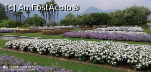[P81] Villa Taranto din Verbania.  » foto by Aurici
 - 
<span class="allrVoted glyphicon glyphicon-heart hidden" id="av1127761"></span>
<a class="m-l-10 hidden" id="sv1127761" onclick="voting_Foto_DelVot(,1127761,5274)" role="button">șterge vot <span class="glyphicon glyphicon-remove"></span></a>
<a id="v91127761" class=" c-red"  onclick="voting_Foto_SetVot(1127761)" role="button"><span class="glyphicon glyphicon-heart-empty"></span> <b>LIKE</b> = Votează poza</a> <img class="hidden"  id="f1127761W9" src="/imagini/loader.gif" border="0" /><span class="AjErrMes hidden" id="e1127761ErM"></span>
