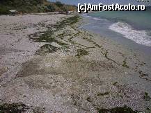 [P11] Plaja Cap Tuzla 2009 - se observă lâţimea dublă a plajei (înaltă) faţă de 2006. Cazemata e pe plaja acum. » foto by cc_iordachescu
 - 
<span class="allrVoted glyphicon glyphicon-heart hidden" id="av59815"></span>
<a class="m-l-10 hidden" id="sv59815" onclick="voting_Foto_DelVot(,59815,5277)" role="button">șterge vot <span class="glyphicon glyphicon-remove"></span></a>
<a id="v959815" class=" c-red"  onclick="voting_Foto_SetVot(59815)" role="button"><span class="glyphicon glyphicon-heart-empty"></span> <b>LIKE</b> = Votează poza</a> <img class="hidden"  id="f59815W9" src="/imagini/loader.gif" border="0" /><span class="AjErrMes hidden" id="e59815ErM"></span>