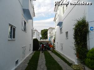 [P03] Melissa hotel - Psakoudia - Halkidiki / mai2013 » foto by ionescunic
 - 
<span class="allrVoted glyphicon glyphicon-heart hidden" id="av499862"></span>
<a class="m-l-10 hidden" id="sv499862" onclick="voting_Foto_DelVot(,499862,5286)" role="button">șterge vot <span class="glyphicon glyphicon-remove"></span></a>
<a id="v9499862" class=" c-red"  onclick="voting_Foto_SetVot(499862)" role="button"><span class="glyphicon glyphicon-heart-empty"></span> <b>LIKE</b> = Votează poza</a> <img class="hidden"  id="f499862W9" src="/imagini/loader.gif" border="0" /><span class="AjErrMes hidden" id="e499862ErM"></span>