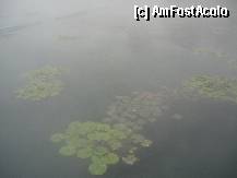 [P05] Lacul balnear, un amestec de ceata si aburi. » foto by Nicu
 - 
<span class="allrVoted glyphicon glyphicon-heart hidden" id="av308464"></span>
<a class="m-l-10 hidden" id="sv308464" onclick="voting_Foto_DelVot(,308464,5303)" role="button">șterge vot <span class="glyphicon glyphicon-remove"></span></a>
<a id="v9308464" class=" c-red"  onclick="voting_Foto_SetVot(308464)" role="button"><span class="glyphicon glyphicon-heart-empty"></span> <b>LIKE</b> = Votează poza</a> <img class="hidden"  id="f308464W9" src="/imagini/loader.gif" border="0" /><span class="AjErrMes hidden" id="e308464ErM"></span>