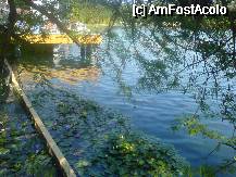 [P03] Nuferi pe lac » foto by Nicu
 - 
<span class="allrVoted glyphicon glyphicon-heart hidden" id="av60372"></span>
<a class="m-l-10 hidden" id="sv60372" onclick="voting_Foto_DelVot(,60372,5303)" role="button">șterge vot <span class="glyphicon glyphicon-remove"></span></a>
<a id="v960372" class=" c-red"  onclick="voting_Foto_SetVot(60372)" role="button"><span class="glyphicon glyphicon-heart-empty"></span> <b>LIKE</b> = Votează poza</a> <img class="hidden"  id="f60372W9" src="/imagini/loader.gif" border="0" /><span class="AjErrMes hidden" id="e60372ErM"></span>