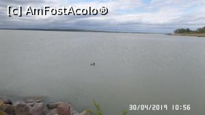 [P10] Balatongyörök. Lacul Balaton » foto by ungureanica
 - 
<span class="allrVoted glyphicon glyphicon-heart hidden" id="av1110085"></span>
<a class="m-l-10 hidden" id="sv1110085" onclick="voting_Foto_DelVot(,1110085,5303)" role="button">șterge vot <span class="glyphicon glyphicon-remove"></span></a>
<a id="v91110085" class=" c-red"  onclick="voting_Foto_SetVot(1110085)" role="button"><span class="glyphicon glyphicon-heart-empty"></span> <b>LIKE</b> = Votează poza</a> <img class="hidden"  id="f1110085W9" src="/imagini/loader.gif" border="0" /><span class="AjErrMes hidden" id="e1110085ErM"></span>