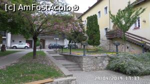 [P11] Tapolca. Primăvara se chinuie să vină » foto by ungureanica
 - 
<span class="allrVoted glyphicon glyphicon-heart hidden" id="av1113178"></span>
<a class="m-l-10 hidden" id="sv1113178" onclick="voting_Foto_DelVot(,1113178,5303)" role="button">șterge vot <span class="glyphicon glyphicon-remove"></span></a>
<a id="v91113178" class=" c-red"  onclick="voting_Foto_SetVot(1113178)" role="button"><span class="glyphicon glyphicon-heart-empty"></span> <b>LIKE</b> = Votează poza</a> <img class="hidden"  id="f1113178W9" src="/imagini/loader.gif" border="0" /><span class="AjErrMes hidden" id="e1113178ErM"></span>