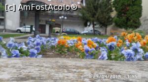 [P12] Tapolca. Panseluțele » foto by ungureanica
 - 
<span class="allrVoted glyphicon glyphicon-heart hidden" id="av1113179"></span>
<a class="m-l-10 hidden" id="sv1113179" onclick="voting_Foto_DelVot(,1113179,5303)" role="button">șterge vot <span class="glyphicon glyphicon-remove"></span></a>
<a id="v91113179" class=" c-red"  onclick="voting_Foto_SetVot(1113179)" role="button"><span class="glyphicon glyphicon-heart-empty"></span> <b>LIKE</b> = Votează poza</a> <img class="hidden"  id="f1113179W9" src="/imagini/loader.gif" border="0" /><span class="AjErrMes hidden" id="e1113179ErM"></span>