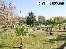 [P20] Parculetul de pe faleza » foto by pepsi70ro
 - 
<span class="allrVoted glyphicon glyphicon-heart hidden" id="av60355"></span>
<a class="m-l-10 hidden" id="sv60355" onclick="voting_Foto_DelVot(,60355,5304)" role="button">șterge vot <span class="glyphicon glyphicon-remove"></span></a>
<a id="v960355" class=" c-red"  onclick="voting_Foto_SetVot(60355)" role="button"><span class="glyphicon glyphicon-heart-empty"></span> <b>LIKE</b> = Votează poza</a> <img class="hidden"  id="f60355W9" src="/imagini/loader.gif" border="0" /><span class="AjErrMes hidden" id="e60355ErM"></span>