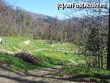 [P08]  -- <small>// FĂRĂ DESCRIERE</small> » foto by Ovidiu B
 - 
<span class="allrVoted glyphicon glyphicon-heart hidden" id="av313337"></span>
<a class="m-l-10 hidden" id="sv313337" onclick="voting_Foto_DelVot(,313337,5311)" role="button">șterge vot <span class="glyphicon glyphicon-remove"></span></a>
<a id="v9313337" class=" c-red"  onclick="voting_Foto_SetVot(313337)" role="button"><span class="glyphicon glyphicon-heart-empty"></span> <b>LIKE</b> = Votează poza</a> <img class="hidden"  id="f313337W9" src="/imagini/loader.gif" border="0" /><span class="AjErrMes hidden" id="e313337ErM"></span>