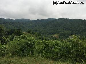 [P13]  -- <small>// FĂRĂ DESCRIERE</small> » foto by Dan&Ema
 - 
<span class="allrVoted glyphicon glyphicon-heart hidden" id="av628301"></span>
<a class="m-l-10 hidden" id="sv628301" onclick="voting_Foto_DelVot(,628301,5311)" role="button">șterge vot <span class="glyphicon glyphicon-remove"></span></a>
<a id="v9628301" class=" c-red"  onclick="voting_Foto_SetVot(628301)" role="button"><span class="glyphicon glyphicon-heart-empty"></span> <b>LIKE</b> = Votează poza</a> <img class="hidden"  id="f628301W9" src="/imagini/loader.gif" border="0" /><span class="AjErrMes hidden" id="e628301ErM"></span>