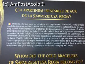 [P12] Expoziția Inima Aurului Dacic de la Valea Albă » foto by Dana2008
 - 
<span class="allrVoted glyphicon glyphicon-heart hidden" id="av953965"></span>
<a class="m-l-10 hidden" id="sv953965" onclick="voting_Foto_DelVot(,953965,5311)" role="button">șterge vot <span class="glyphicon glyphicon-remove"></span></a>
<a id="v9953965" class=" c-red"  onclick="voting_Foto_SetVot(953965)" role="button"><span class="glyphicon glyphicon-heart-empty"></span> <b>LIKE</b> = Votează poza</a> <img class="hidden"  id="f953965W9" src="/imagini/loader.gif" border="0" /><span class="AjErrMes hidden" id="e953965ErM"></span>