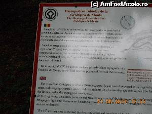 [P04] alte informatii despre cetate » foto by zlatna
 - 
<span class="allrVoted glyphicon glyphicon-heart hidden" id="av631837"></span>
<a class="m-l-10 hidden" id="sv631837" onclick="voting_Foto_DelVot(,631837,5311)" role="button">șterge vot <span class="glyphicon glyphicon-remove"></span></a>
<a id="v9631837" class=" c-red"  onclick="voting_Foto_SetVot(631837)" role="button"><span class="glyphicon glyphicon-heart-empty"></span> <b>LIKE</b> = Votează poza</a> <img class="hidden"  id="f631837W9" src="/imagini/loader.gif" border="0" /><span class="AjErrMes hidden" id="e631837ErM"></span>