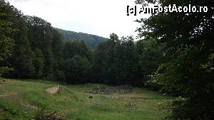 [P02]  -- <small>// FĂRĂ DESCRIERE</small> » foto by cuza
 - 
<span class="allrVoted glyphicon glyphicon-heart hidden" id="av368731"></span>
<a class="m-l-10 hidden" id="sv368731" onclick="voting_Foto_DelVot(,368731,5311)" role="button">șterge vot <span class="glyphicon glyphicon-remove"></span></a>
<a id="v9368731" class=" c-red"  onclick="voting_Foto_SetVot(368731)" role="button"><span class="glyphicon glyphicon-heart-empty"></span> <b>LIKE</b> = Votează poza</a> <img class="hidden"  id="f368731W9" src="/imagini/loader.gif" border="0" /><span class="AjErrMes hidden" id="e368731ErM"></span>