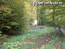[P10] Drumul spre Sanctuare este pavat cu piatra » foto by realitatea
 - 
<span class="allrVoted glyphicon glyphicon-heart hidden" id="av149771"></span>
<a class="m-l-10 hidden" id="sv149771" onclick="voting_Foto_DelVot(,149771,5311)" role="button">șterge vot <span class="glyphicon glyphicon-remove"></span></a>
<a id="v9149771" class=" c-red"  onclick="voting_Foto_SetVot(149771)" role="button"><span class="glyphicon glyphicon-heart-empty"></span> <b>LIKE</b> = Votează poza</a> <img class="hidden"  id="f149771W9" src="/imagini/loader.gif" border="0" /><span class="AjErrMes hidden" id="e149771ErM"></span>