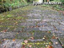 [P11] Drumul pavat duce spre Sanctuare » foto by realitatea
 - 
<span class="allrVoted glyphicon glyphicon-heart hidden" id="av149772"></span>
<a class="m-l-10 hidden" id="sv149772" onclick="voting_Foto_DelVot(,149772,5311)" role="button">șterge vot <span class="glyphicon glyphicon-remove"></span></a>
<a id="v9149772" class=" c-red"  onclick="voting_Foto_SetVot(149772)" role="button"><span class="glyphicon glyphicon-heart-empty"></span> <b>LIKE</b> = Votează poza</a> <img class="hidden"  id="f149772W9" src="/imagini/loader.gif" border="0" /><span class="AjErrMes hidden" id="e149772ErM"></span>