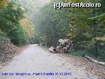[P02] Drumul spre Sarmizegetusa Regia » foto by realitatea
 - 
<span class="allrVoted glyphicon glyphicon-heart hidden" id="av149757"></span>
<a class="m-l-10 hidden" id="sv149757" onclick="voting_Foto_DelVot(,149757,5311)" role="button">șterge vot <span class="glyphicon glyphicon-remove"></span></a>
<a id="v9149757" class=" c-red"  onclick="voting_Foto_SetVot(149757)" role="button"><span class="glyphicon glyphicon-heart-empty"></span> <b>LIKE</b> = Votează poza</a> <img class="hidden"  id="f149757W9" src="/imagini/loader.gif" border="0" /><span class="AjErrMes hidden" id="e149757ErM"></span>