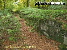 [P27] Zidul de piatra este aici de peste 2000 de ani.....bucati mari de piatra perfect taiate si asezate de Daci ne asteapta sa descoperim originea noastra...aici este adevarata istorie pe care noi nu o cunoastem.....acum vedem cine au fost inaintasii nostri...niste titani. » foto by realitatea
 - 
<span class="allrVoted glyphicon glyphicon-heart hidden" id="av150254"></span>
<a class="m-l-10 hidden" id="sv150254" onclick="voting_Foto_DelVot(,150254,5311)" role="button">șterge vot <span class="glyphicon glyphicon-remove"></span></a>
<a id="v9150254" class=" c-red"  onclick="voting_Foto_SetVot(150254)" role="button"><span class="glyphicon glyphicon-heart-empty"></span> <b>LIKE</b> = Votează poza</a> <img class="hidden"  id="f150254W9" src="/imagini/loader.gif" border="0" /><span class="AjErrMes hidden" id="e150254ErM"></span>