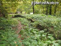 [P30] Dupa o drumetie pe langa zidul istoriei noastre, pasind incet pe urmele dacilor si admirand lucrarea lor, ajung la poarta principala... » foto by realitatea
 - 
<span class="allrVoted glyphicon glyphicon-heart hidden" id="av150269"></span>
<a class="m-l-10 hidden" id="sv150269" onclick="voting_Foto_DelVot(,150269,5311)" role="button">șterge vot <span class="glyphicon glyphicon-remove"></span></a>
<a id="v9150269" class=" c-red"  onclick="voting_Foto_SetVot(150269)" role="button"><span class="glyphicon glyphicon-heart-empty"></span> <b>LIKE</b> = Votează poza</a> <img class="hidden"  id="f150269W9" src="/imagini/loader.gif" border="0" /><span class="AjErrMes hidden" id="e150269ErM"></span>