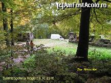 [P32] Aici vedeti intrarea principala in cetate, deci nu mergeti pe cararea din mijloc direct prin padure la sanctuare , cand intrati in cetate faceti la dreapta si o sa fiti impresionati de zidurile cetatii care va asteapta de 2000 de ani, mergeti incet, in liniste si priviti cu atentie la imprejurimi... » foto by realitatea
 - 
<span class="allrVoted glyphicon glyphicon-heart hidden" id="av150273"></span>
<a class="m-l-10 hidden" id="sv150273" onclick="voting_Foto_DelVot(,150273,5311)" role="button">șterge vot <span class="glyphicon glyphicon-remove"></span></a>
<a id="v9150273" class=" c-red"  onclick="voting_Foto_SetVot(150273)" role="button"><span class="glyphicon glyphicon-heart-empty"></span> <b>LIKE</b> = Votează poza</a> <img class="hidden"  id="f150273W9" src="/imagini/loader.gif" border="0" /><span class="AjErrMes hidden" id="e150273ErM"></span>
