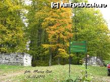 [P41] Asa arata intrarea in cetate in 2010, vedeti zidul din dreapta ca era in picioare atunci. Astazi in 2011 nu mai arata asa, a fost daramat.....  Acele ' pietre ' cazute sunt istoria noastra a dacilor, aici au murit stramosii nostrii pentru ca noi sa fim astazi aici.  Refaceti cetatea dacilor ! » foto by realitatea
 - 
<span class="allrVoted glyphicon glyphicon-heart hidden" id="av254938"></span>
<a class="m-l-10 hidden" id="sv254938" onclick="voting_Foto_DelVot(,254938,5311)" role="button">șterge vot <span class="glyphicon glyphicon-remove"></span></a>
<a id="v9254938" class=" c-red"  onclick="voting_Foto_SetVot(254938)" role="button"><span class="glyphicon glyphicon-heart-empty"></span> <b>LIKE</b> = Votează poza</a> <img class="hidden"  id="f254938W9" src="/imagini/loader.gif" border="0" /><span class="AjErrMes hidden" id="e254938ErM"></span>