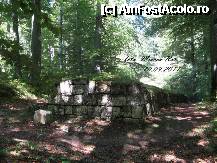 [P43] Pietre mari din zid, vechi de peste 2000 de ani. » foto by realitatea
 - 
<span class="allrVoted glyphicon glyphicon-heart hidden" id="av254946"></span>
<a class="m-l-10 hidden" id="sv254946" onclick="voting_Foto_DelVot(,254946,5311)" role="button">șterge vot <span class="glyphicon glyphicon-remove"></span></a>
<a id="v9254946" class=" c-red"  onclick="voting_Foto_SetVot(254946)" role="button"><span class="glyphicon glyphicon-heart-empty"></span> <b>LIKE</b> = Votează poza</a> <img class="hidden"  id="f254946W9" src="/imagini/loader.gif" border="0" /><span class="AjErrMes hidden" id="e254946ErM"></span>