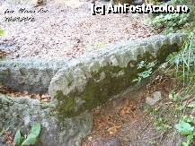 [P54] Istoria dacilor zace aruncata la marginea sancuarelor. Oare ce erau aceste pietre cioplite ca o roata mare zimtata cu precizie ? Acum stau si se degradeaza fiind aruncate cu nepasare de alti 'cotropitori '  Unde sunt istoricii , arheologii de azi, ma intreb oare mai sunt ? » foto by realitatea
 - 
<span class="allrVoted glyphicon glyphicon-heart hidden" id="av254966"></span>
<a class="m-l-10 hidden" id="sv254966" onclick="voting_Foto_DelVot(,254966,5311)" role="button">șterge vot <span class="glyphicon glyphicon-remove"></span></a>
<a id="v9254966" class=" c-red"  onclick="voting_Foto_SetVot(254966)" role="button"><span class="glyphicon glyphicon-heart-empty"></span> <b>LIKE</b> = Votează poza</a> <img class="hidden"  id="f254966W9" src="/imagini/loader.gif" border="0" /><span class="AjErrMes hidden" id="e254966ErM"></span>