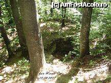 [P55] Peste turnul de aparare au crescut copacii, drepti ca dacii.  Doar natura apara de mii de ani cetatea noastra a dacilor. » foto by realitatea
 - 
<span class="allrVoted glyphicon glyphicon-heart hidden" id="av254967"></span>
<a class="m-l-10 hidden" id="sv254967" onclick="voting_Foto_DelVot(,254967,5311)" role="button">șterge vot <span class="glyphicon glyphicon-remove"></span></a>
<a id="v9254967" class=" c-red"  onclick="voting_Foto_SetVot(254967)" role="button"><span class="glyphicon glyphicon-heart-empty"></span> <b>LIKE</b> = Votează poza</a> <img class="hidden"  id="f254967W9" src="/imagini/loader.gif" border="0" /><span class="AjErrMes hidden" id="e254967ErM"></span>
