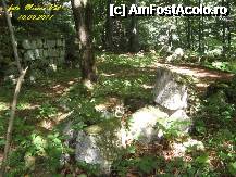[P56] Ruinele turnului de aparare sunt inca acolo in padure...ne asteapta pe noi dacii sa le descoperim. » foto by realitatea
 - 
<span class="allrVoted glyphicon glyphicon-heart hidden" id="av254969"></span>
<a class="m-l-10 hidden" id="sv254969" onclick="voting_Foto_DelVot(,254969,5311)" role="button">șterge vot <span class="glyphicon glyphicon-remove"></span></a>
<a id="v9254969" class=" c-red"  onclick="voting_Foto_SetVot(254969)" role="button"><span class="glyphicon glyphicon-heart-empty"></span> <b>LIKE</b> = Votează poza</a> <img class="hidden"  id="f254969W9" src="/imagini/loader.gif" border="0" /><span class="AjErrMes hidden" id="e254969ErM"></span>