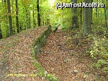 [P09] Zidul gros de trei metri inconjoara cetatea » foto by realitatea
 - 
<span class="allrVoted glyphicon glyphicon-heart hidden" id="av149769"></span>
<a class="m-l-10 hidden" id="sv149769" onclick="voting_Foto_DelVot(,149769,5311)" role="button">șterge vot <span class="glyphicon glyphicon-remove"></span></a>
<a id="v9149769" class=" c-red"  onclick="voting_Foto_SetVot(149769)" role="button"><span class="glyphicon glyphicon-heart-empty"></span> <b>LIKE</b> = Votează poza</a> <img class="hidden"  id="f149769W9" src="/imagini/loader.gif" border="0" /><span class="AjErrMes hidden" id="e149769ErM"></span>