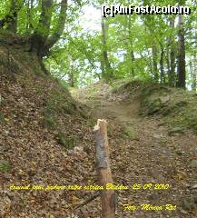 [P14] Urcam spre cetate, traseul este marcat de daci cu semne numai de noi stiute.... » foto by realitatea
 - 
<span class="allrVoted glyphicon glyphicon-heart hidden" id="av150289"></span>
<a class="m-l-10 hidden" id="sv150289" onclick="voting_Foto_DelVot(,150289,5311)" role="button">șterge vot <span class="glyphicon glyphicon-remove"></span></a>
<a id="v9150289" class=" c-red"  onclick="voting_Foto_SetVot(150289)" role="button"><span class="glyphicon glyphicon-heart-empty"></span> <b>LIKE</b> = Votează poza</a> <img class="hidden"  id="f150289W9" src="/imagini/loader.gif" border="0" /><span class="AjErrMes hidden" id="e150289ErM"></span>