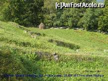 [P21] Iarba a fost cosita de daci....cetatea ne asteapta. » foto by realitatea
 - 
<span class="allrVoted glyphicon glyphicon-heart hidden" id="av150296"></span>
<a class="m-l-10 hidden" id="sv150296" onclick="voting_Foto_DelVot(,150296,5311)" role="button">șterge vot <span class="glyphicon glyphicon-remove"></span></a>
<a id="v9150296" class=" c-red"  onclick="voting_Foto_SetVot(150296)" role="button"><span class="glyphicon glyphicon-heart-empty"></span> <b>LIKE</b> = Votează poza</a> <img class="hidden"  id="f150296W9" src="/imagini/loader.gif" border="0" /><span class="AjErrMes hidden" id="e150296ErM"></span>
