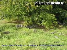 [P24] La umbra unui stejar se vede cisterna de apa a cetatii.... » foto by realitatea
 - 
<span class="allrVoted glyphicon glyphicon-heart hidden" id="av150299"></span>
<a class="m-l-10 hidden" id="sv150299" onclick="voting_Foto_DelVot(,150299,5311)" role="button">șterge vot <span class="glyphicon glyphicon-remove"></span></a>
<a id="v9150299" class=" c-red"  onclick="voting_Foto_SetVot(150299)" role="button"><span class="glyphicon glyphicon-heart-empty"></span> <b>LIKE</b> = Votează poza</a> <img class="hidden"  id="f150299W9" src="/imagini/loader.gif" border="0" /><span class="AjErrMes hidden" id="e150299ErM"></span>