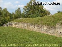 [P31] Las cetatea sa va arate mestesugul dacilor de a prelucra piatra..... » foto by realitatea
 - 
<span class="allrVoted glyphicon glyphicon-heart hidden" id="av150306"></span>
<a class="m-l-10 hidden" id="sv150306" onclick="voting_Foto_DelVot(,150306,5311)" role="button">șterge vot <span class="glyphicon glyphicon-remove"></span></a>
<a id="v9150306" class=" c-red"  onclick="voting_Foto_SetVot(150306)" role="button"><span class="glyphicon glyphicon-heart-empty"></span> <b>LIKE</b> = Votează poza</a> <img class="hidden"  id="f150306W9" src="/imagini/loader.gif" border="0" /><span class="AjErrMes hidden" id="e150306ErM"></span>