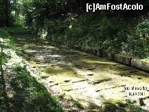 [P07] ' Autostrada ' dacilor inca rezista de mii de ani... » foto by realitatea
 - 
<span class="allrVoted glyphicon glyphicon-heart hidden" id="av255233"></span>
<a class="m-l-10 hidden" id="sv255233" onclick="voting_Foto_DelVot(,255233,5311)" role="button">șterge vot <span class="glyphicon glyphicon-remove"></span></a>
<a id="v9255233" class=" c-red"  onclick="voting_Foto_SetVot(255233)" role="button"><span class="glyphicon glyphicon-heart-empty"></span> <b>LIKE</b> = Votează poza</a> <img class="hidden"  id="f255233W9" src="/imagini/loader.gif" border="0" /><span class="AjErrMes hidden" id="e255233ErM"></span>