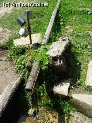 [P19] Izvorul care a dăinuit din epoca antică - Sarmizegetusa Regia.  » foto by tata123 🔱
 - 
<span class="allrVoted glyphicon glyphicon-heart hidden" id="av1107732"></span>
<a class="m-l-10 hidden" id="sv1107732" onclick="voting_Foto_DelVot(,1107732,5311)" role="button">șterge vot <span class="glyphicon glyphicon-remove"></span></a>
<a id="v91107732" class=" c-red"  onclick="voting_Foto_SetVot(1107732)" role="button"><span class="glyphicon glyphicon-heart-empty"></span> <b>LIKE</b> = Votează poza</a> <img class="hidden"  id="f1107732W9" src="/imagini/loader.gif" border="0" /><span class="AjErrMes hidden" id="e1107732ErM"></span>