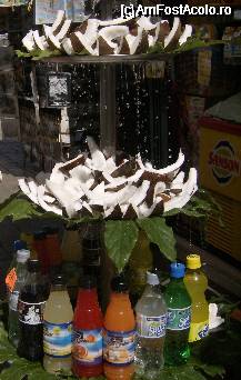 [P11] Sper ca va place nuca de cocos??? » foto by georgiana
 - 
<span class="allrVoted glyphicon glyphicon-heart hidden" id="av61018"></span>
<a class="m-l-10 hidden" id="sv61018" onclick="voting_Foto_DelVot(,61018,5328)" role="button">șterge vot <span class="glyphicon glyphicon-remove"></span></a>
<a id="v961018" class=" c-red"  onclick="voting_Foto_SetVot(61018)" role="button"><span class="glyphicon glyphicon-heart-empty"></span> <b>LIKE</b> = Votează poza</a> <img class="hidden"  id="f61018W9" src="/imagini/loader.gif" border="0" /><span class="AjErrMes hidden" id="e61018ErM"></span>