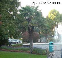 [P19] Intr-unul din parculetele staiunii. » foto by georgiana
 - 
<span class="allrVoted glyphicon glyphicon-heart hidden" id="av61026"></span>
<a class="m-l-10 hidden" id="sv61026" onclick="voting_Foto_DelVot(,61026,5328)" role="button">șterge vot <span class="glyphicon glyphicon-remove"></span></a>
<a id="v961026" class=" c-red"  onclick="voting_Foto_SetVot(61026)" role="button"><span class="glyphicon glyphicon-heart-empty"></span> <b>LIKE</b> = Votează poza</a> <img class="hidden"  id="f61026W9" src="/imagini/loader.gif" border="0" /><span class="AjErrMes hidden" id="e61026ErM"></span>