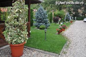[P18] arbusti ornamentali si plante exotice, toate ingrijite si irigate la fel si gazonul » foto by alunelu69
 - 
<span class="allrVoted glyphicon glyphicon-heart hidden" id="av669890"></span>
<a class="m-l-10 hidden" id="sv669890" onclick="voting_Foto_DelVot(,669890,5331)" role="button">șterge vot <span class="glyphicon glyphicon-remove"></span></a>
<a id="v9669890" class=" c-red"  onclick="voting_Foto_SetVot(669890)" role="button"><span class="glyphicon glyphicon-heart-empty"></span> <b>LIKE</b> = Votează poza</a> <img class="hidden"  id="f669890W9" src="/imagini/loader.gif" border="0" /><span class="AjErrMes hidden" id="e669890ErM"></span>