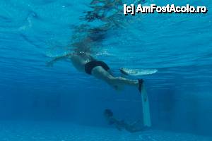 [P14] vedere piscina exterioara de la piscina interioara » foto by calatorul72
 - 
<span class="allrVoted glyphicon glyphicon-heart hidden" id="av436057"></span>
<a class="m-l-10 hidden" id="sv436057" onclick="voting_Foto_DelVot(,436057,5345)" role="button">șterge vot <span class="glyphicon glyphicon-remove"></span></a>
<a id="v9436057" class=" c-red"  onclick="voting_Foto_SetVot(436057)" role="button"><span class="glyphicon glyphicon-heart-empty"></span> <b>LIKE</b> = Votează poza</a> <img class="hidden"  id="f436057W9" src="/imagini/loader.gif" border="0" /><span class="AjErrMes hidden" id="e436057ErM"></span>