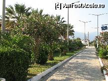 [P10] faleza din Davutlar, printre leandri înfloriți » foto by nicole33
 - 
<span class="allrVoted glyphicon glyphicon-heart hidden" id="av299740"></span>
<a class="m-l-10 hidden" id="sv299740" onclick="voting_Foto_DelVot(,299740,5345)" role="button">șterge vot <span class="glyphicon glyphicon-remove"></span></a>
<a id="v9299740" class=" c-red"  onclick="voting_Foto_SetVot(299740)" role="button"><span class="glyphicon glyphicon-heart-empty"></span> <b>LIKE</b> = Votează poza</a> <img class="hidden"  id="f299740W9" src="/imagini/loader.gif" border="0" /><span class="AjErrMes hidden" id="e299740ErM"></span>