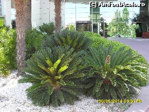 [P02] hotel Grand Belish, Kusadasi-in fata intrarii principale » foto by adryana
 - 
<span class="allrVoted glyphicon glyphicon-heart hidden" id="av528497"></span>
<a class="m-l-10 hidden" id="sv528497" onclick="voting_Foto_DelVot(,528497,5345)" role="button">șterge vot <span class="glyphicon glyphicon-remove"></span></a>
<a id="v9528497" class=" c-red"  onclick="voting_Foto_SetVot(528497)" role="button"><span class="glyphicon glyphicon-heart-empty"></span> <b>LIKE</b> = Votează poza</a> <img class="hidden"  id="f528497W9" src="/imagini/loader.gif" border="0" /><span class="AjErrMes hidden" id="e528497ErM"></span>