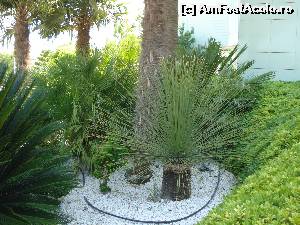 [P04] curtea hotelului Grand Belish, Kusadasi » foto by adryana
 - 
<span class="allrVoted glyphicon glyphicon-heart hidden" id="av528499"></span>
<a class="m-l-10 hidden" id="sv528499" onclick="voting_Foto_DelVot(,528499,5345)" role="button">șterge vot <span class="glyphicon glyphicon-remove"></span></a>
<a id="v9528499" class=" c-red"  onclick="voting_Foto_SetVot(528499)" role="button"><span class="glyphicon glyphicon-heart-empty"></span> <b>LIKE</b> = Votează poza</a> <img class="hidden"  id="f528499W9" src="/imagini/loader.gif" border="0" /><span class="AjErrMes hidden" id="e528499ErM"></span>