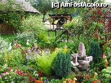 [P10] Gradina » foto by Gherase
 - 
<span class="allrVoted glyphicon glyphicon-heart hidden" id="av244746"></span>
<a class="m-l-10 hidden" id="sv244746" onclick="voting_Foto_DelVot(,244746,5349)" role="button">șterge vot <span class="glyphicon glyphicon-remove"></span></a>
<a id="v9244746" class=" c-red"  onclick="voting_Foto_SetVot(244746)" role="button"><span class="glyphicon glyphicon-heart-empty"></span> <b>LIKE</b> = Votează poza</a> <img class="hidden"  id="f244746W9" src="/imagini/loader.gif" border="0" /><span class="AjErrMes hidden" id="e244746ErM"></span>