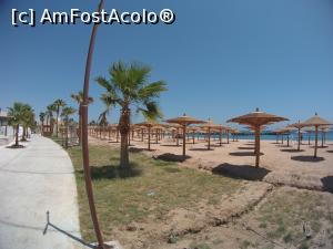 [P04] plaja de la Rixos Makadi Bay, umbrelele sunt pline, ofera umbra suficienta » foto by elenaadina
 - 
<span class="allrVoted glyphicon glyphicon-heart hidden" id="av1249186"></span>
<a class="m-l-10 hidden" id="sv1249186" onclick="voting_Foto_DelVot(,1249186,5353)" role="button">șterge vot <span class="glyphicon glyphicon-remove"></span></a>
<a id="v91249186" class=" c-red"  onclick="voting_Foto_SetVot(1249186)" role="button"><span class="glyphicon glyphicon-heart-empty"></span> <b>LIKE</b> = Votează poza</a> <img class="hidden"  id="f1249186W9" src="/imagini/loader.gif" border="0" /><span class="AjErrMes hidden" id="e1249186ErM"></span>