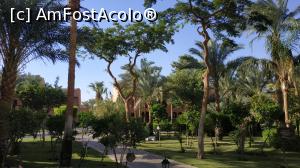 [P31] plimbare prin Madinat Makadi » foto by elenaadina
 - 
<span class="allrVoted glyphicon glyphicon-heart hidden" id="av1249705"></span>
<a class="m-l-10 hidden" id="sv1249705" onclick="voting_Foto_DelVot(,1249705,5353)" role="button">șterge vot <span class="glyphicon glyphicon-remove"></span></a>
<a id="v91249705" class=" c-red"  onclick="voting_Foto_SetVot(1249705)" role="button"><span class="glyphicon glyphicon-heart-empty"></span> <b>LIKE</b> = Votează poza</a> <img class="hidden"  id="f1249705W9" src="/imagini/loader.gif" border="0" /><span class="AjErrMes hidden" id="e1249705ErM"></span>