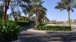 [P45] plimbare prin Madinat Makadi » foto by elenaadina
 - 
<span class="allrVoted glyphicon glyphicon-heart hidden" id="av1249719"></span>
<a class="m-l-10 hidden" id="sv1249719" onclick="voting_Foto_DelVot(,1249719,5353)" role="button">șterge vot <span class="glyphicon glyphicon-remove"></span></a>
<a id="v91249719" class=" c-red"  onclick="voting_Foto_SetVot(1249719)" role="button"><span class="glyphicon glyphicon-heart-empty"></span> <b>LIKE</b> = Votează poza</a> <img class="hidden"  id="f1249719W9" src="/imagini/loader.gif" border="0" /><span class="AjErrMes hidden" id="e1249719ErM"></span>