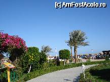 [P02] alee in cadrul complexului hotelier » foto by Alb
 - 
<span class="allrVoted glyphicon glyphicon-heart hidden" id="av68646"></span>
<a class="m-l-10 hidden" id="sv68646" onclick="voting_Foto_DelVot(,68646,5353)" role="button">șterge vot <span class="glyphicon glyphicon-remove"></span></a>
<a id="v968646" class=" c-red"  onclick="voting_Foto_SetVot(68646)" role="button"><span class="glyphicon glyphicon-heart-empty"></span> <b>LIKE</b> = Votează poza</a> <img class="hidden"  id="f68646W9" src="/imagini/loader.gif" border="0" /><span class="AjErrMes hidden" id="e68646ErM"></span>
