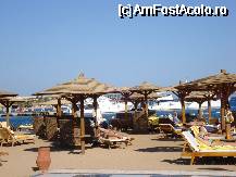 [P03] Plaja Makadi Bay » foto by Alb
 - 
<span class="allrVoted glyphicon glyphicon-heart hidden" id="av68647"></span>
<a class="m-l-10 hidden" id="sv68647" onclick="voting_Foto_DelVot(,68647,5353)" role="button">șterge vot <span class="glyphicon glyphicon-remove"></span></a>
<a id="v968647" class=" c-red"  onclick="voting_Foto_SetVot(68647)" role="button"><span class="glyphicon glyphicon-heart-empty"></span> <b>LIKE</b> = Votează poza</a> <img class="hidden"  id="f68647W9" src="/imagini/loader.gif" border="0" /><span class="AjErrMes hidden" id="e68647ErM"></span>