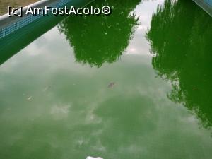 [P03] Baltă in loc de piscină » foto by uina
 - 
<span class="allrVoted glyphicon glyphicon-heart hidden" id="av1249737"></span>
<a class="m-l-10 hidden" id="sv1249737" onclick="voting_Foto_DelVot(,1249737,5356)" role="button">șterge vot <span class="glyphicon glyphicon-remove"></span></a>
<a id="v91249737" class=" c-red"  onclick="voting_Foto_SetVot(1249737)" role="button"><span class="glyphicon glyphicon-heart-empty"></span> <b>LIKE</b> = Votează poza</a> <img class="hidden"  id="f1249737W9" src="/imagini/loader.gif" border="0" /><span class="AjErrMes hidden" id="e1249737ErM"></span>