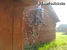 [P05] In ultimii doi ani pe-aici n-a mai trecut nimeni, oare n-or fi cumva si niste fantome inauntru?  » foto by dorgo
 - 
<span class="allrVoted glyphicon glyphicon-heart hidden" id="av335020"></span>
<a class="m-l-10 hidden" id="sv335020" onclick="voting_Foto_DelVot(,335020,5357)" role="button">șterge vot <span class="glyphicon glyphicon-remove"></span></a>
<a id="v9335020" class=" c-red"  onclick="voting_Foto_SetVot(335020)" role="button"><span class="glyphicon glyphicon-heart-empty"></span> <b>LIKE</b> = Votează poza</a> <img class="hidden"  id="f335020W9" src="/imagini/loader.gif" border="0" /><span class="AjErrMes hidden" id="e335020ErM"></span>