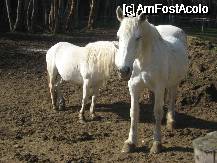 [P12] O poza de familie » foto by dorgo
 - 
<span class="allrVoted glyphicon glyphicon-heart hidden" id="av335829"></span>
<a class="m-l-10 hidden" id="sv335829" onclick="voting_Foto_DelVot(,335829,5357)" role="button">șterge vot <span class="glyphicon glyphicon-remove"></span></a>
<a id="v9335829" class=" c-red"  onclick="voting_Foto_SetVot(335829)" role="button"><span class="glyphicon glyphicon-heart-empty"></span> <b>LIKE</b> = Votează poza</a> <img class="hidden"  id="f335829W9" src="/imagini/loader.gif" border="0" /><span class="AjErrMes hidden" id="e335829ErM"></span>