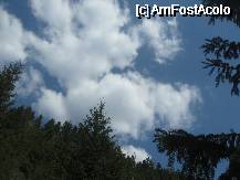 [P17] Uff, e-o zi torida chiar si la munte » foto by dorgo
 - 
<span class="allrVoted glyphicon glyphicon-heart hidden" id="av335834"></span>
<a class="m-l-10 hidden" id="sv335834" onclick="voting_Foto_DelVot(,335834,5357)" role="button">șterge vot <span class="glyphicon glyphicon-remove"></span></a>
<a id="v9335834" class=" c-red"  onclick="voting_Foto_SetVot(335834)" role="button"><span class="glyphicon glyphicon-heart-empty"></span> <b>LIKE</b> = Votează poza</a> <img class="hidden"  id="f335834W9" src="/imagini/loader.gif" border="0" /><span class="AjErrMes hidden" id="e335834ErM"></span>